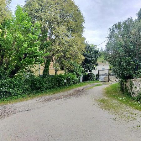 Апартаменты Casina Gentili Перуджа Экстерьер фото